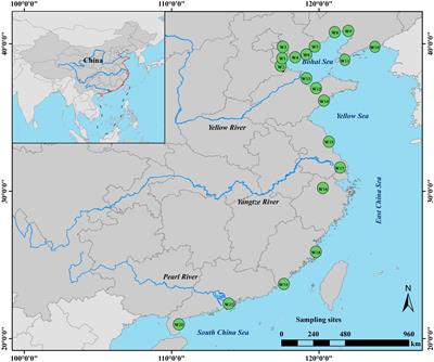 Archaeal contribution to carbon-functional composition and abundance in China’s coastal wetlands: Not to be underestimated